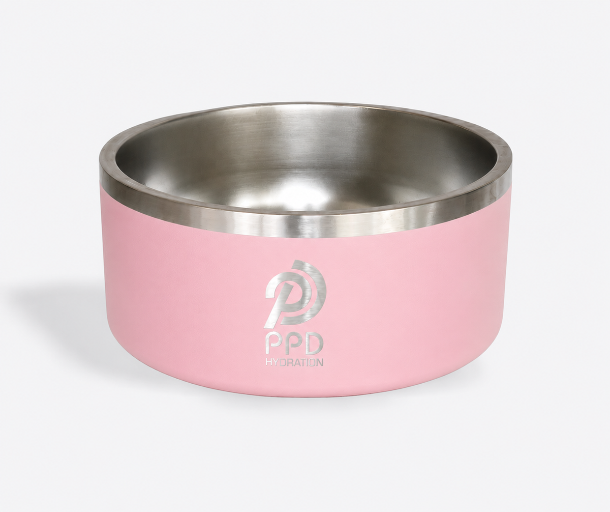 Large Pet Bowls - 64 oz