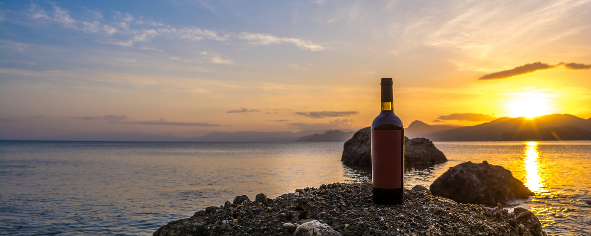 The Benefits of Wine Tumblers - The Ultimate Guide – Power Drink Hydration
