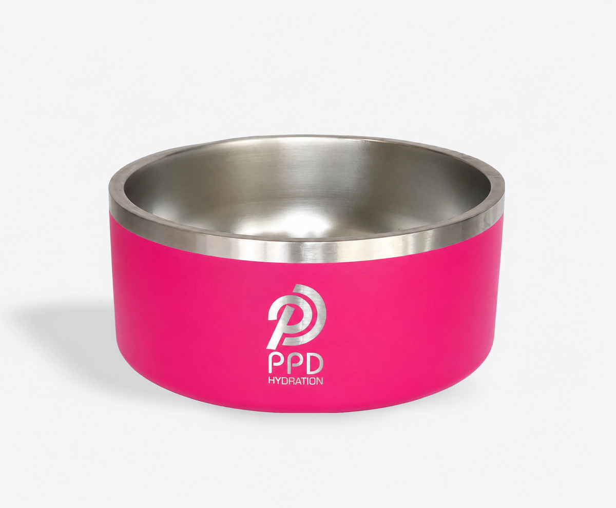 Large Pet Bowls - 64 oz