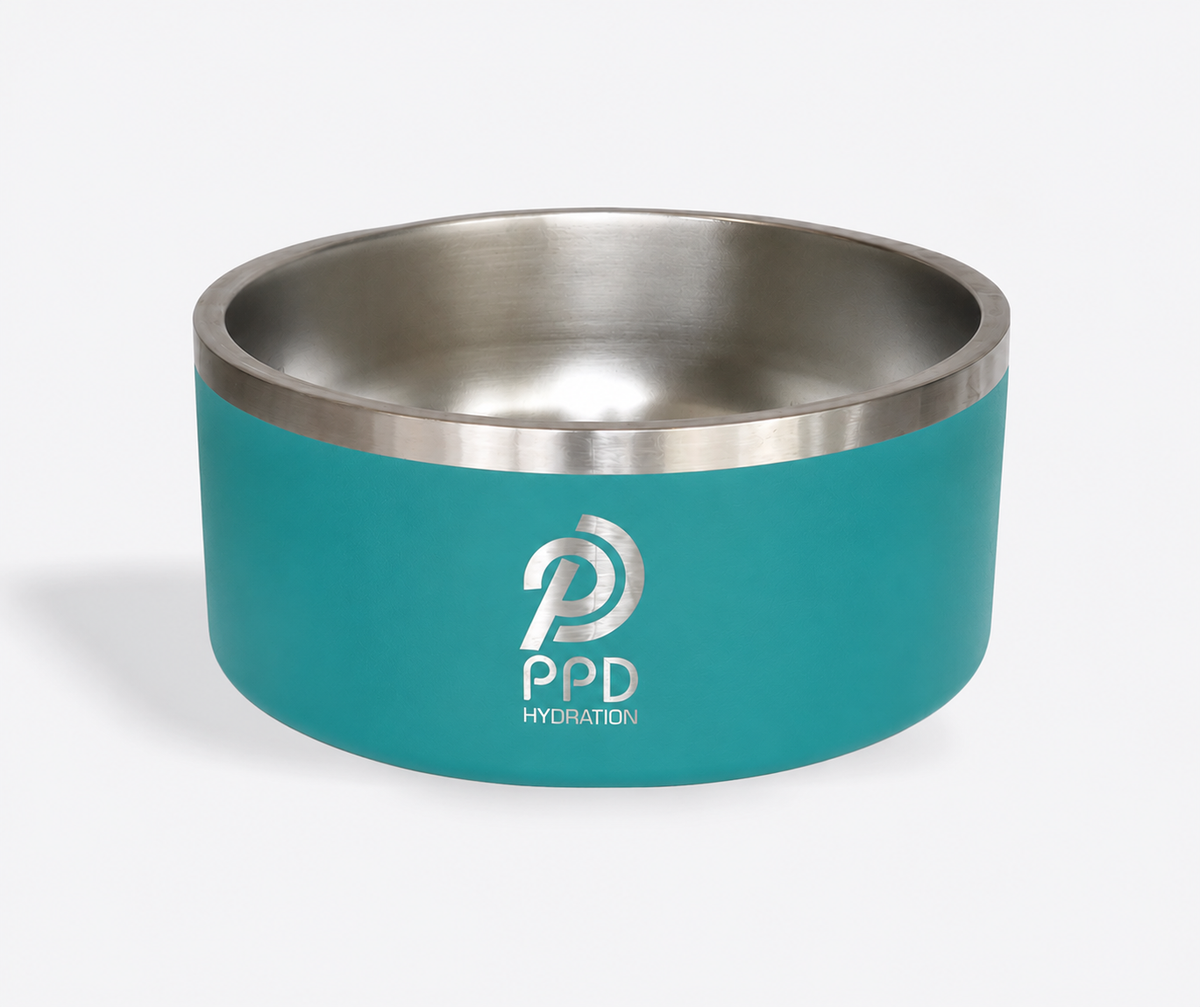 Large Pet Bowls - 64 oz