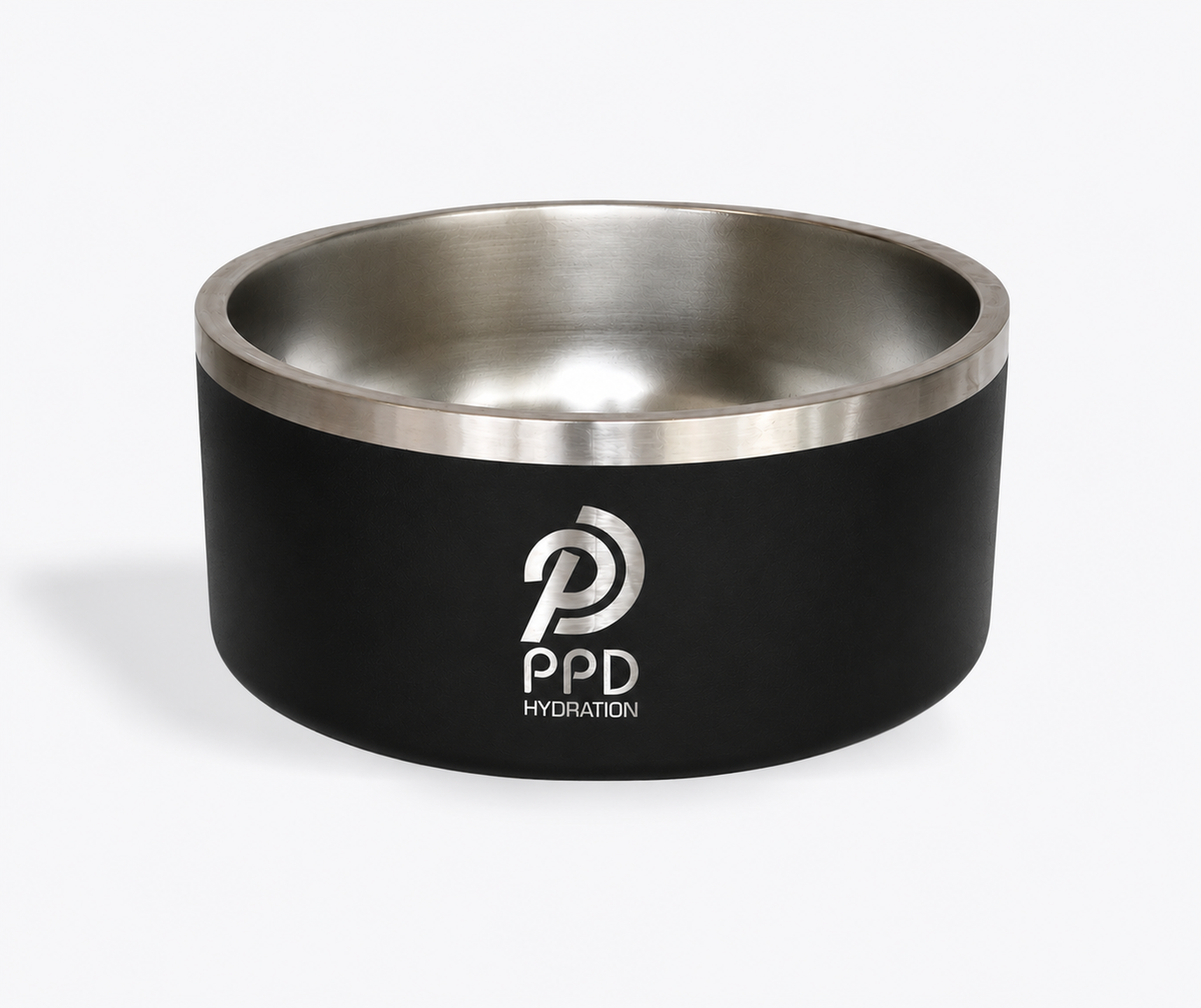 Large Pet Bowls - 64 oz